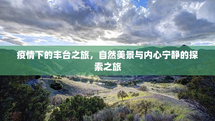 疫情下的丰台之旅，自然美景与内心宁静的探索之旅